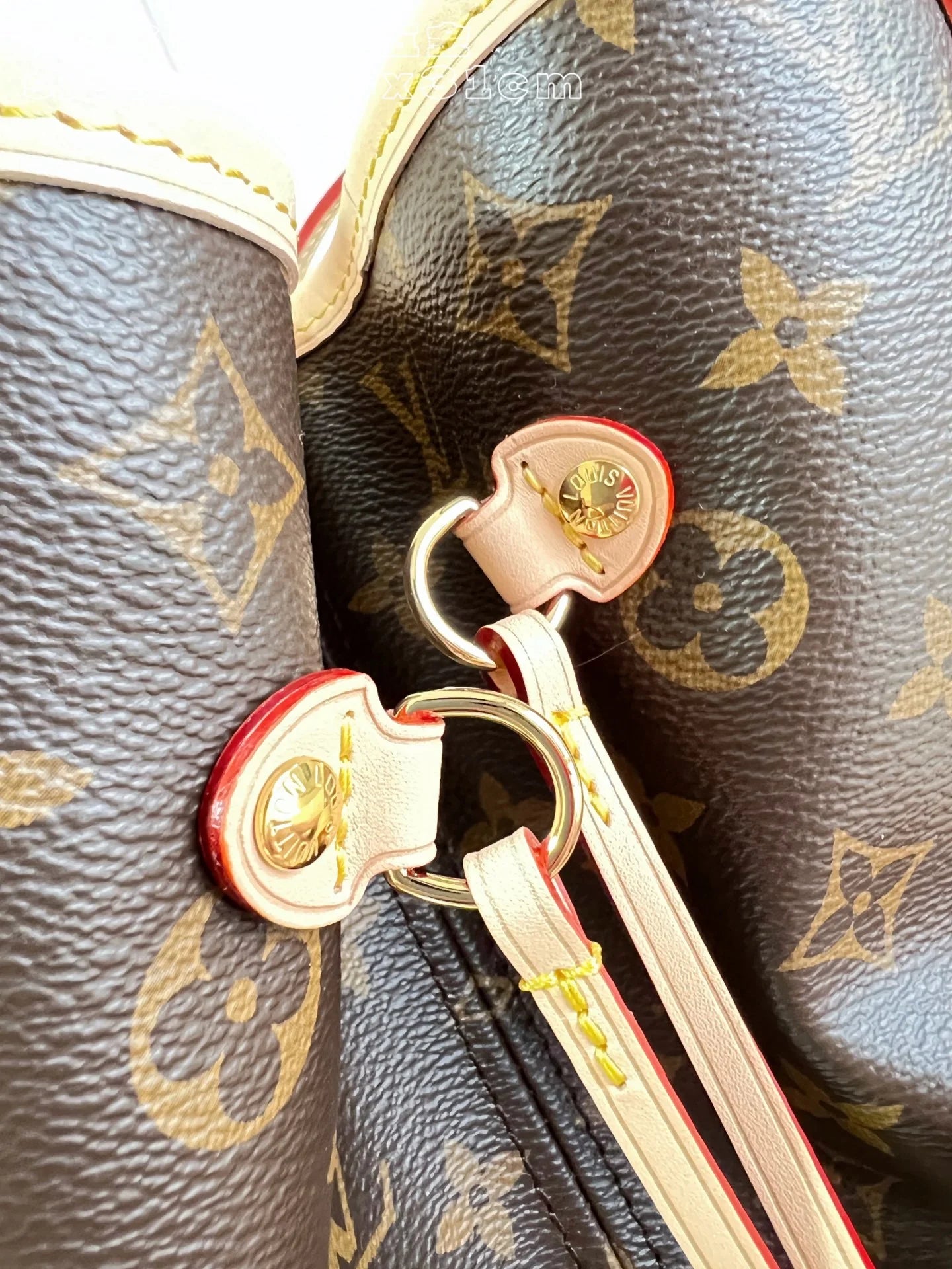 Neverfull PM Monogram