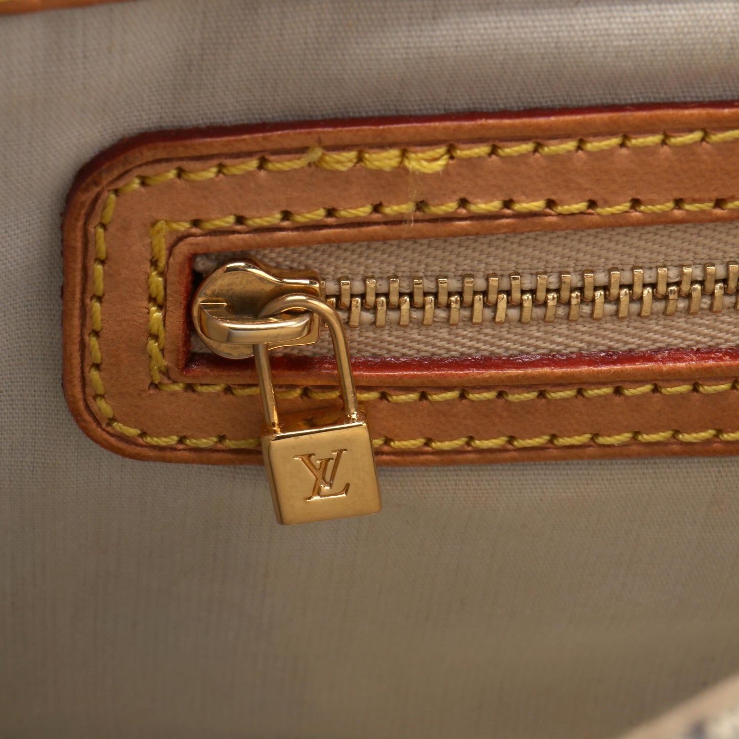 Monogram Mini Lin Camille Handbag Medium Crossbody Bag
