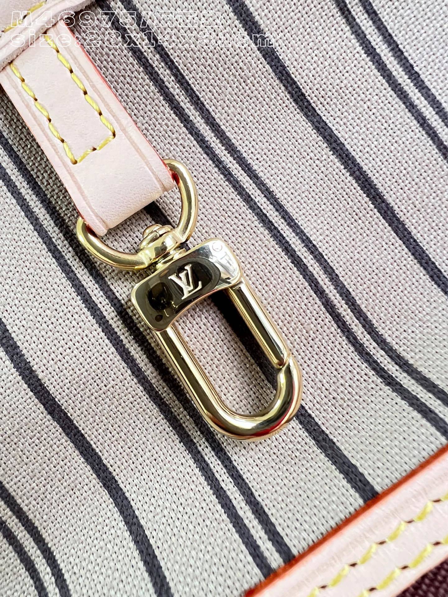Neverfull PM Monogram